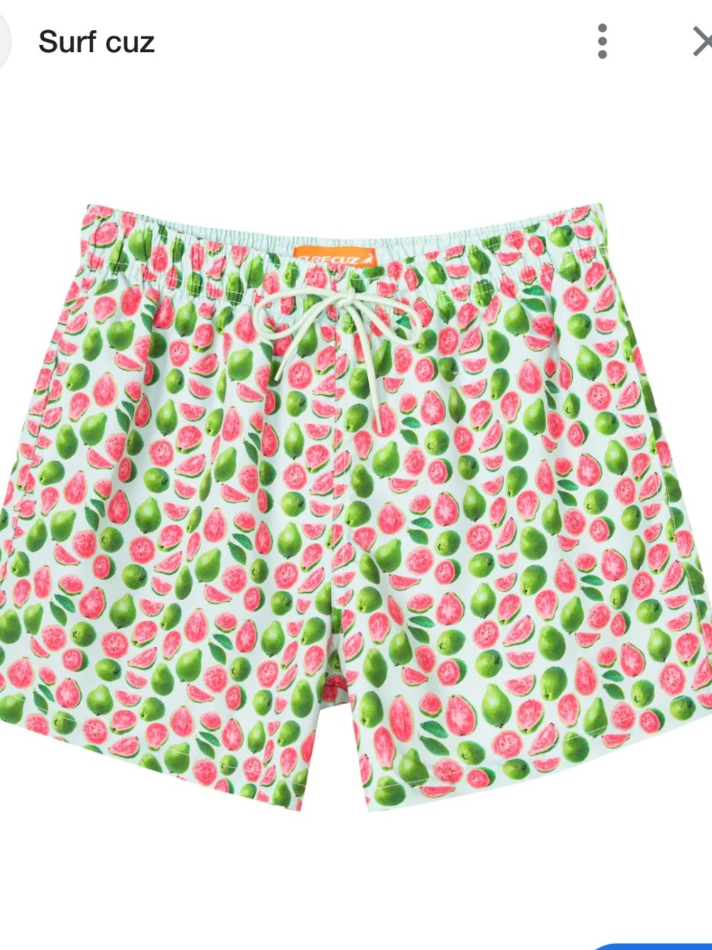 Surf Cuz Fruit Print Swim Trunks — Pink & Green Men’s Large